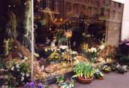 Easter Display
