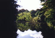 Pukekura Park, New Plymouth